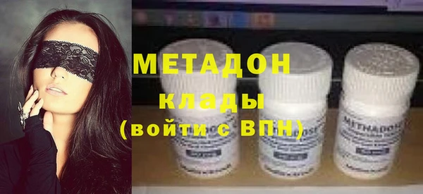 прущие грибы Переславль-Залесский